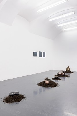 Image 4 of 28