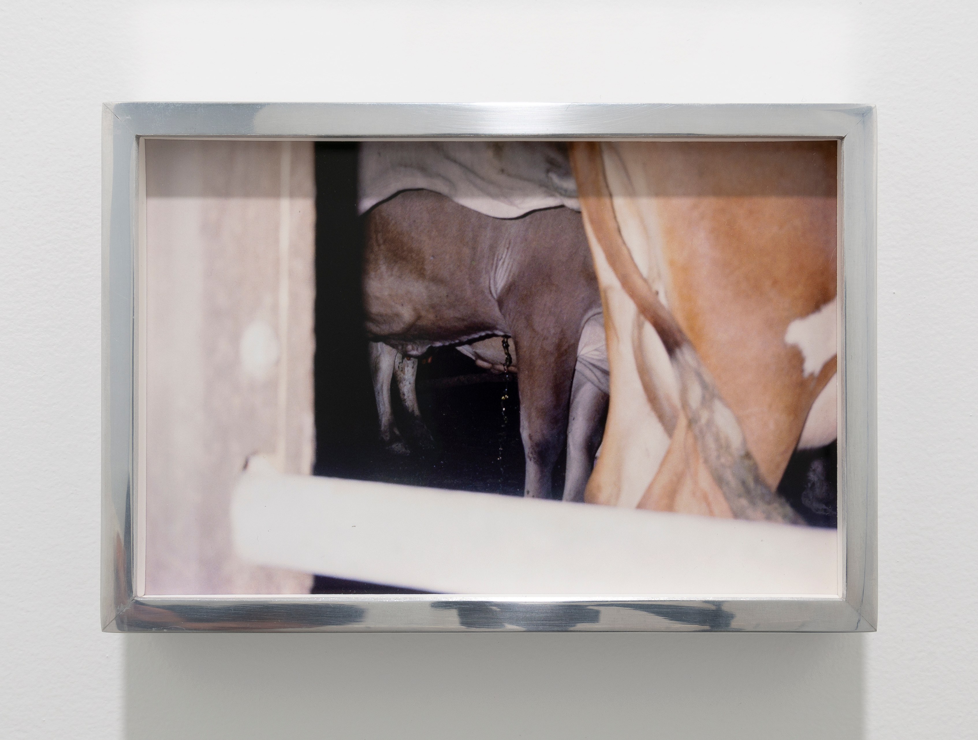 Alexandra Noel, Three, Four at Derosia, photo 50