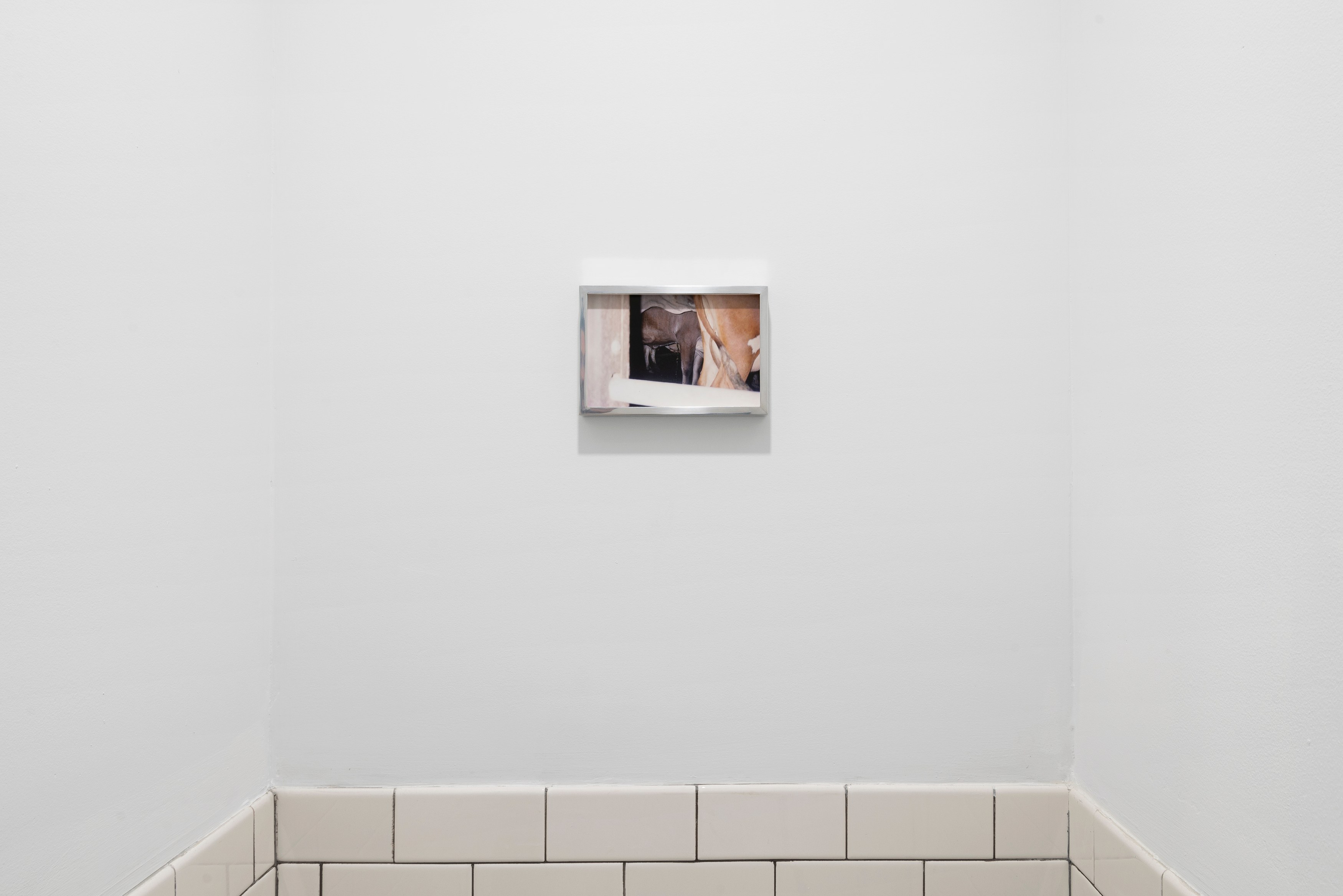 Alexandra Noel, Three, Four at Derosia, photo 51