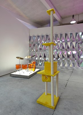 Image 3 of 29