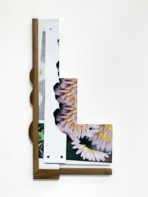 Image 19 of 24