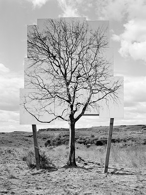 Image 18 of 18