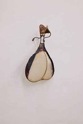 Image 5 of 16