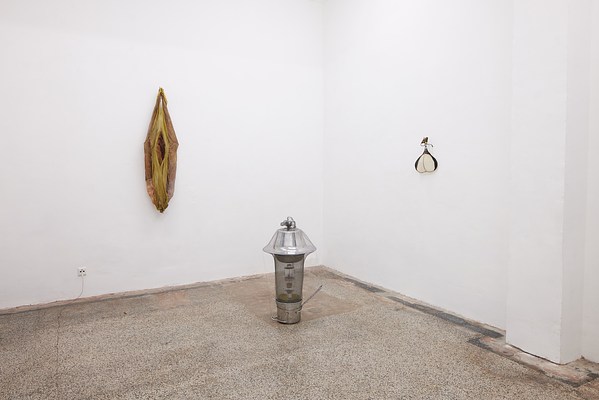 Image 1 of 16
