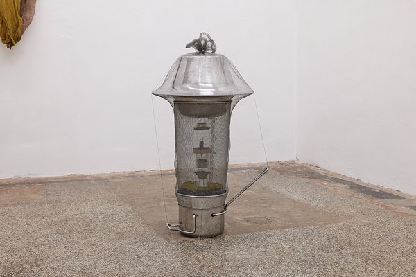 Image 7 of 16
