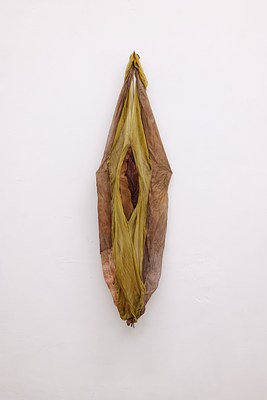 Image 11 of 16