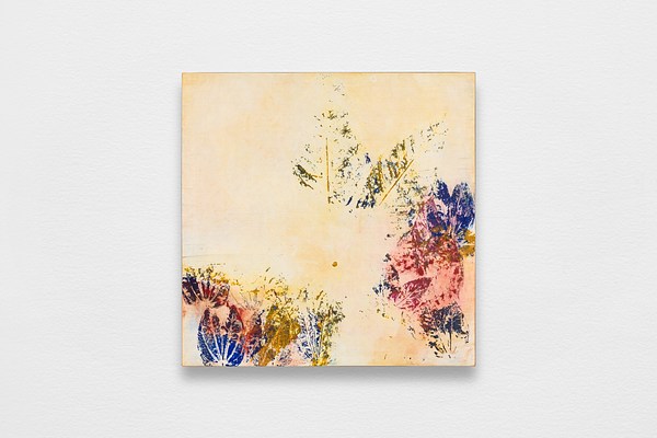 Image 7 of 19