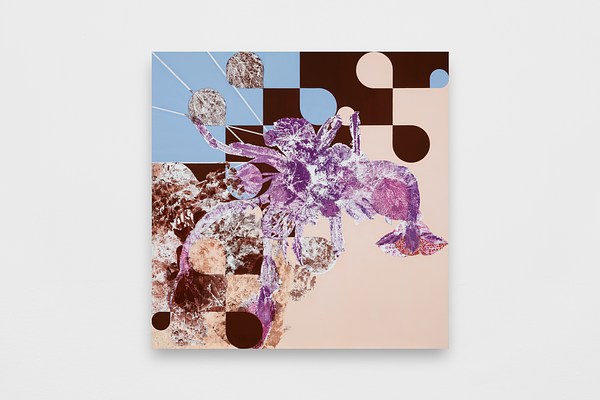Image 10 of 19