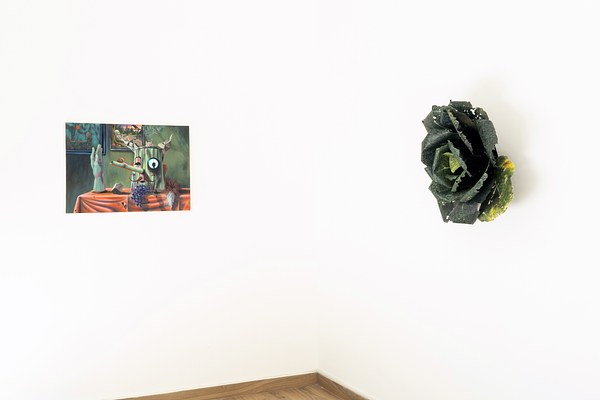 Image 19 of 21