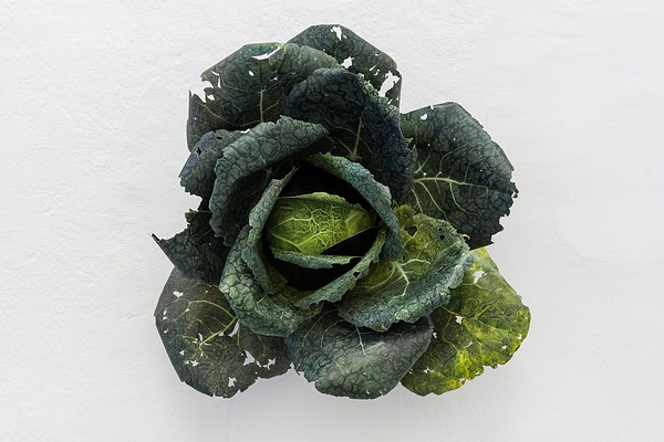 Image 21 of 21