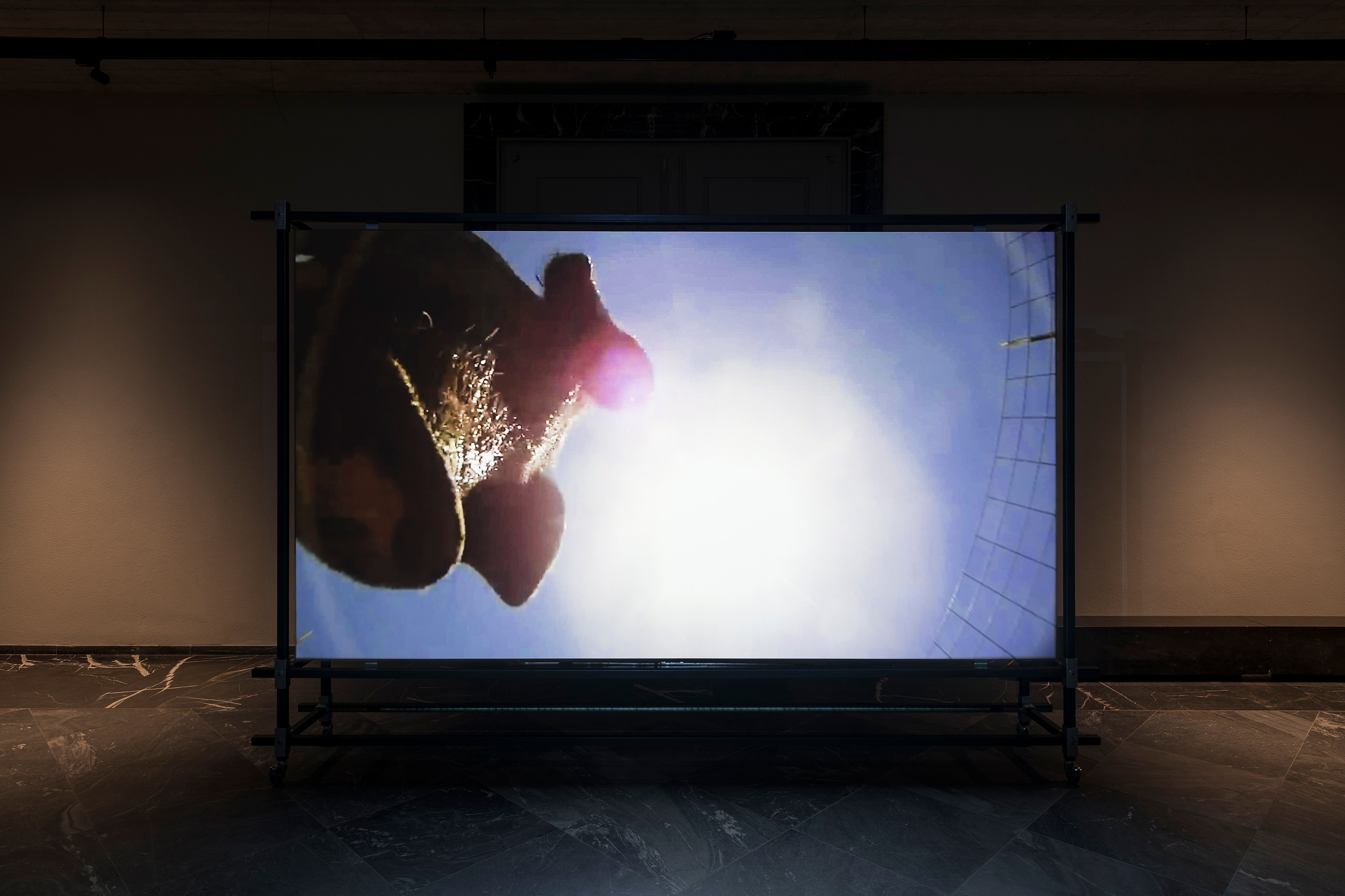 Kino Part 1, Kino Part 1 at Fluentum, photo 9
