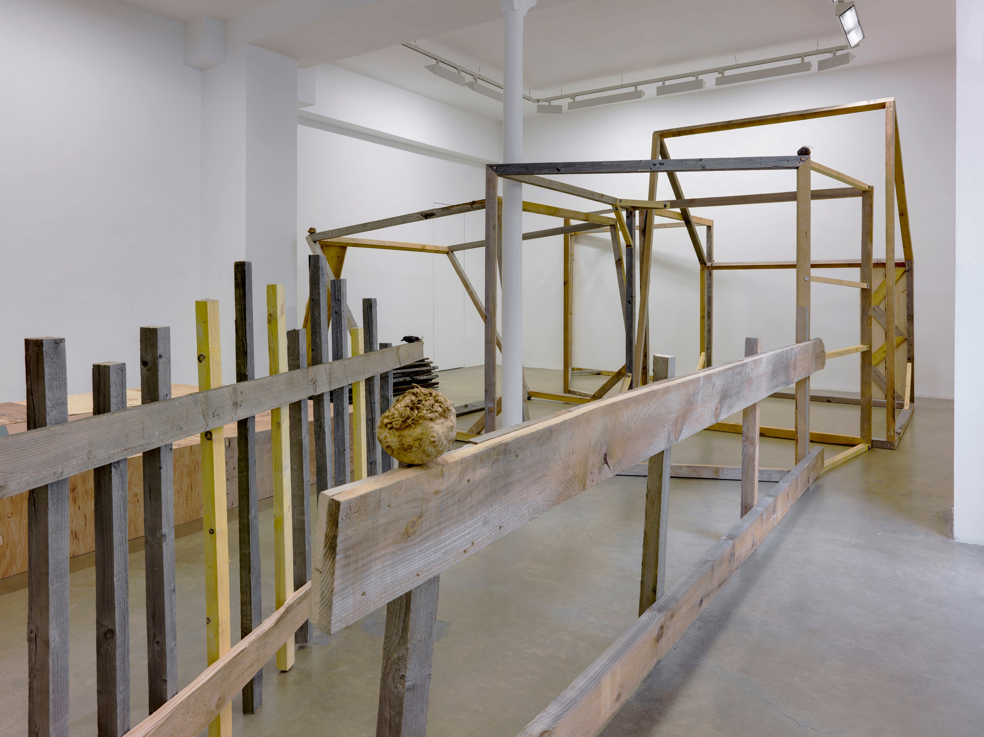 Abraham Cruzvillegas, Untitled at Galerie Chantal Crousel, photo 11