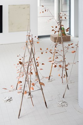 Image 7 of 37