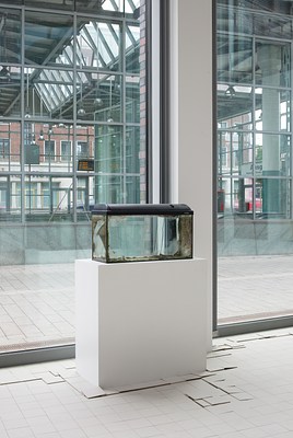Image 10 of 37