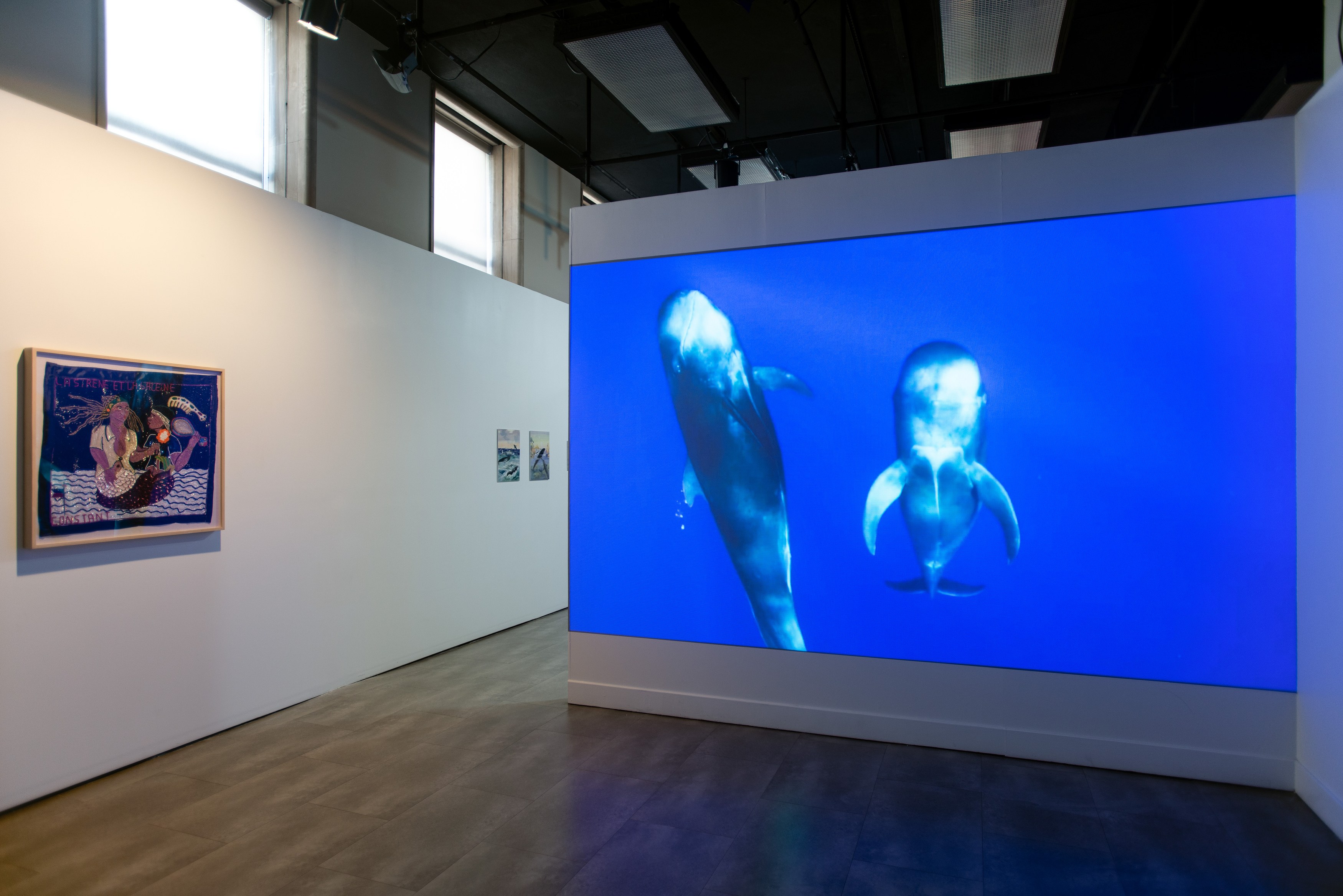 Who Speaks for the Oceans?, Who Speaks for the Oceans? at Mishkin Gallery, Baruch College, photo 3