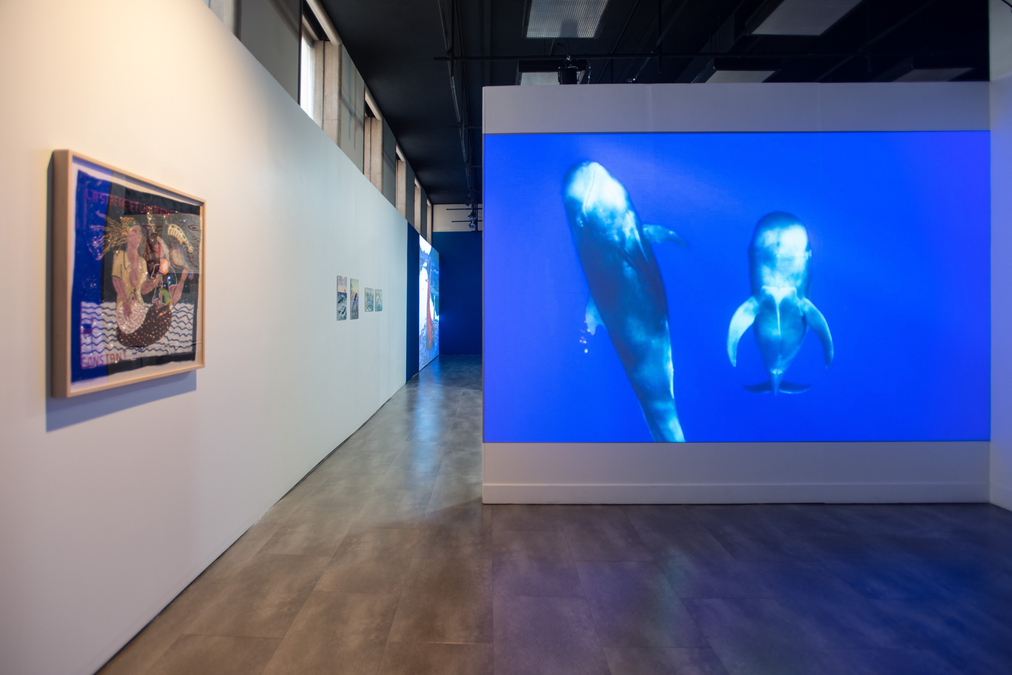 Who Speaks for the Oceans?, Who Speaks for the Oceans? at Mishkin Gallery, Baruch College, photo 7