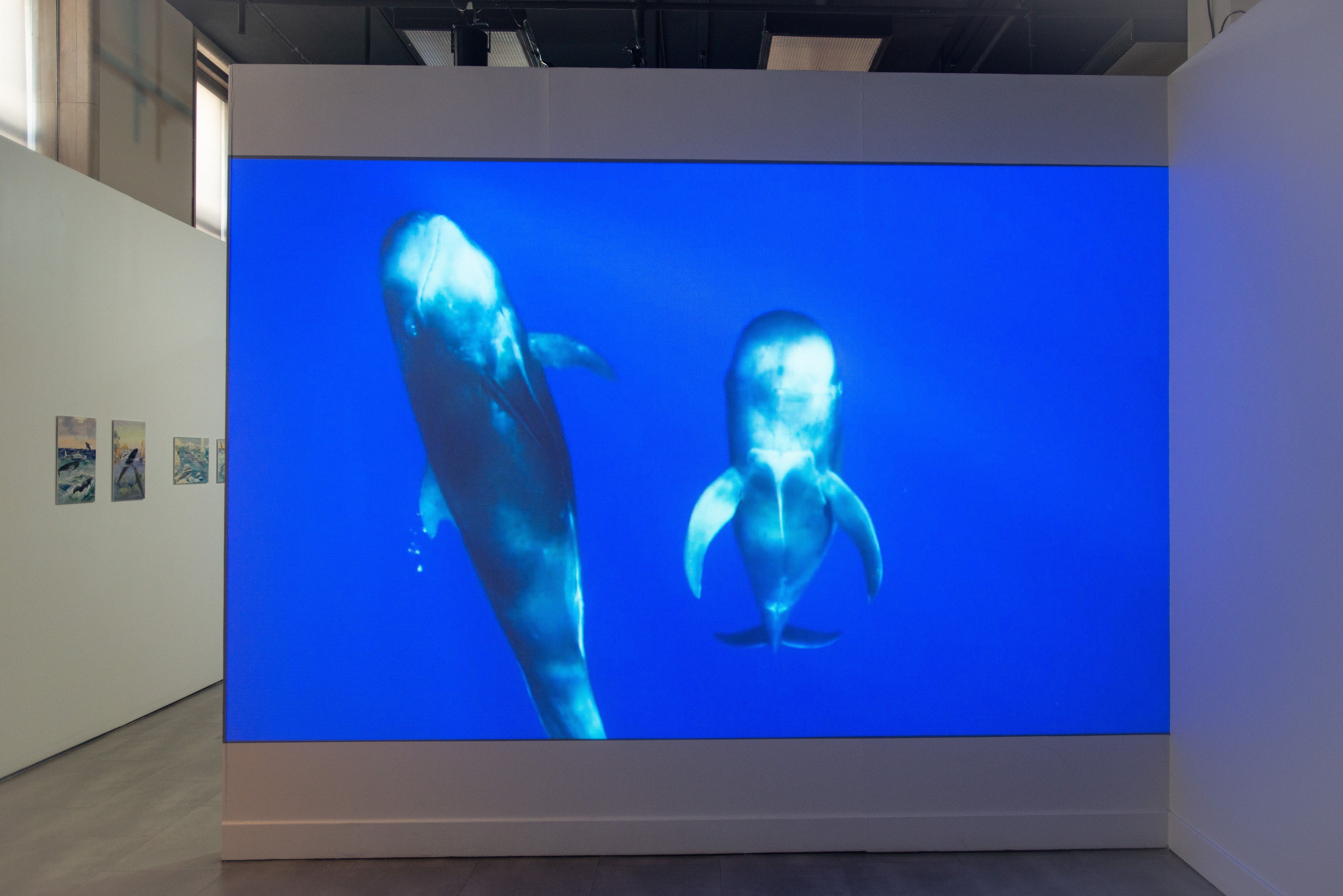 Who Speaks for the Oceans?, Who Speaks for the Oceans? at Mishkin Gallery, Baruch College, photo 14