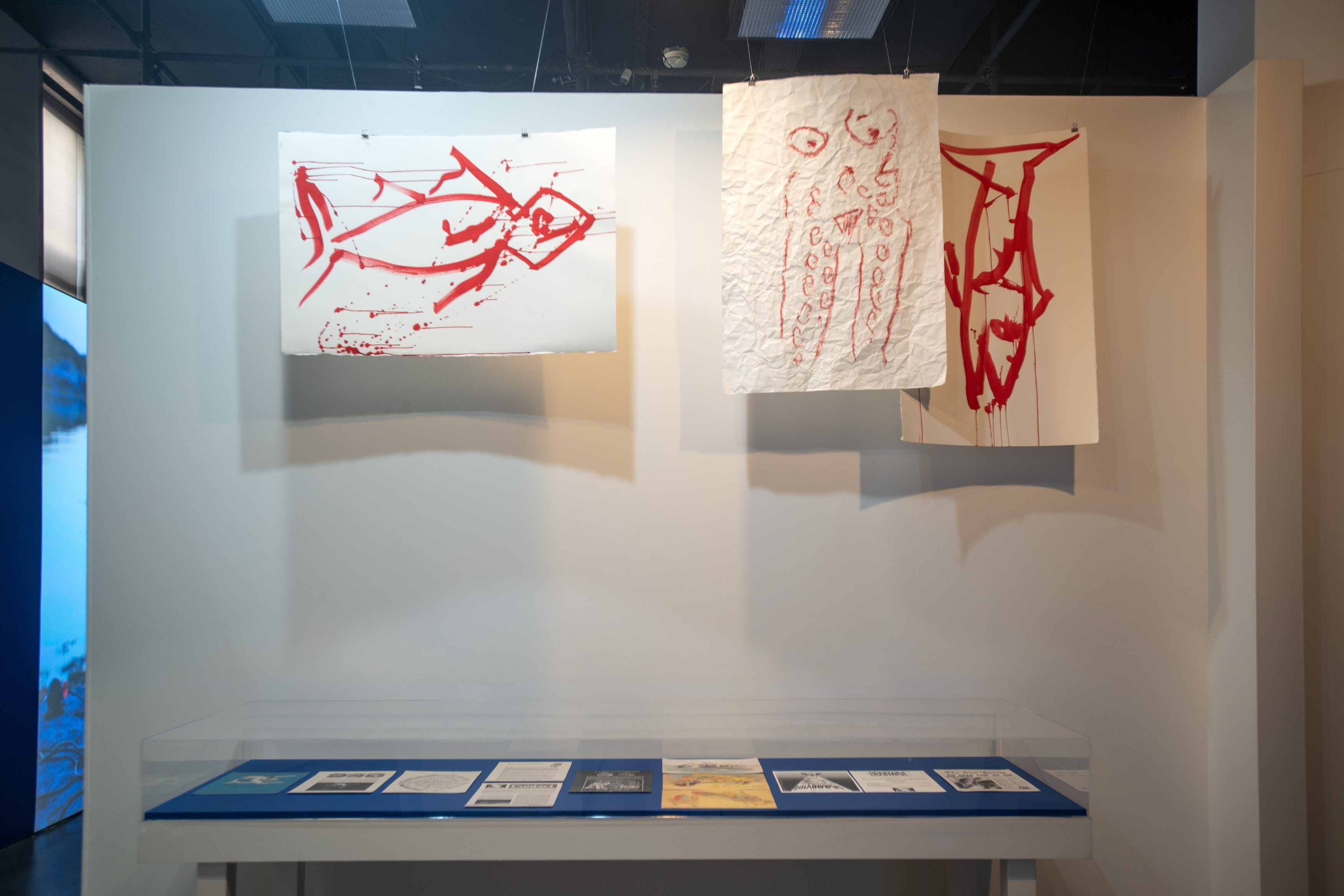 Who Speaks for the Oceans?, Who Speaks for the Oceans? at Mishkin Gallery, Baruch College, photo 19