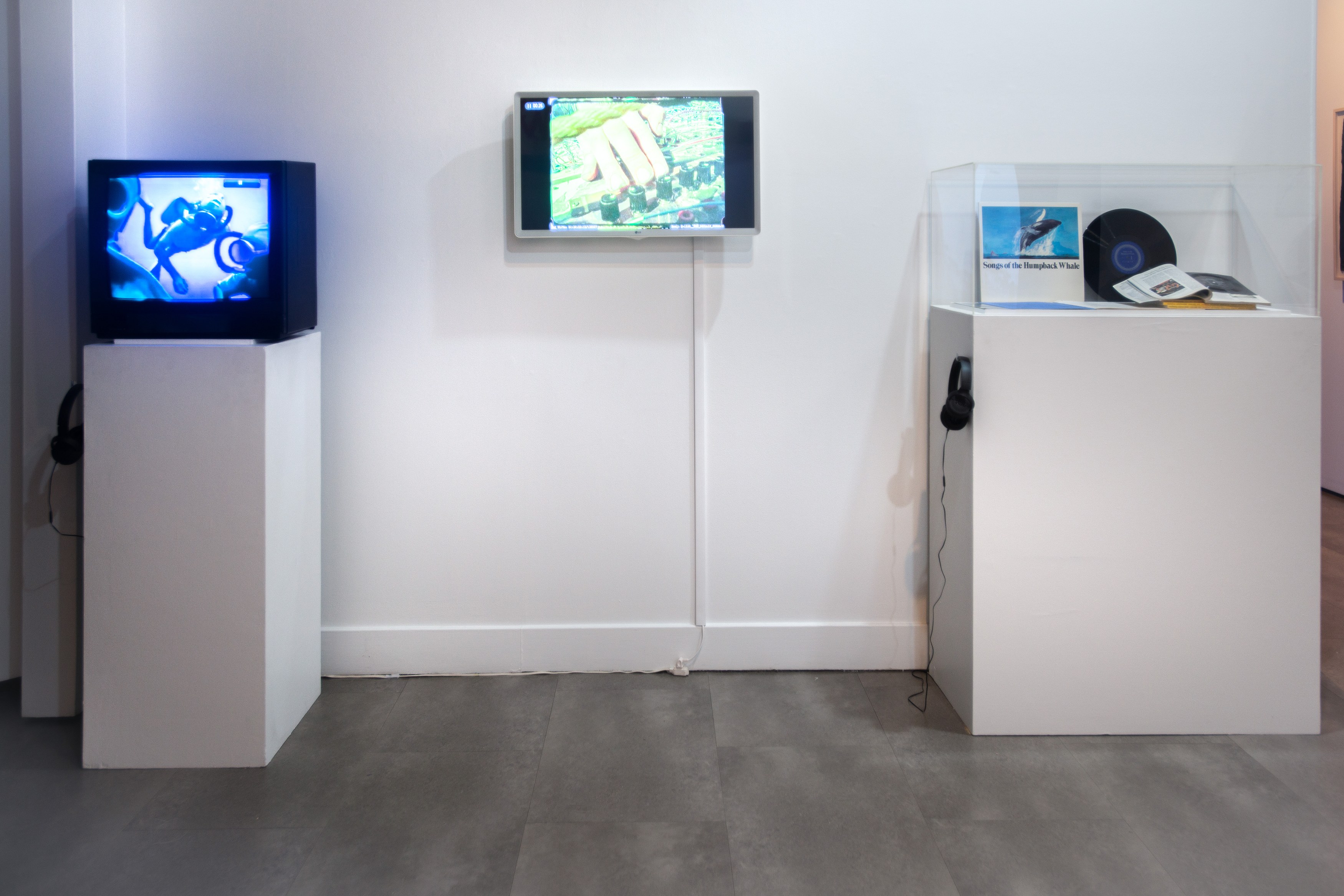 Who Speaks for the Oceans?, Who Speaks for the Oceans? at Mishkin Gallery, Baruch College, photo 20