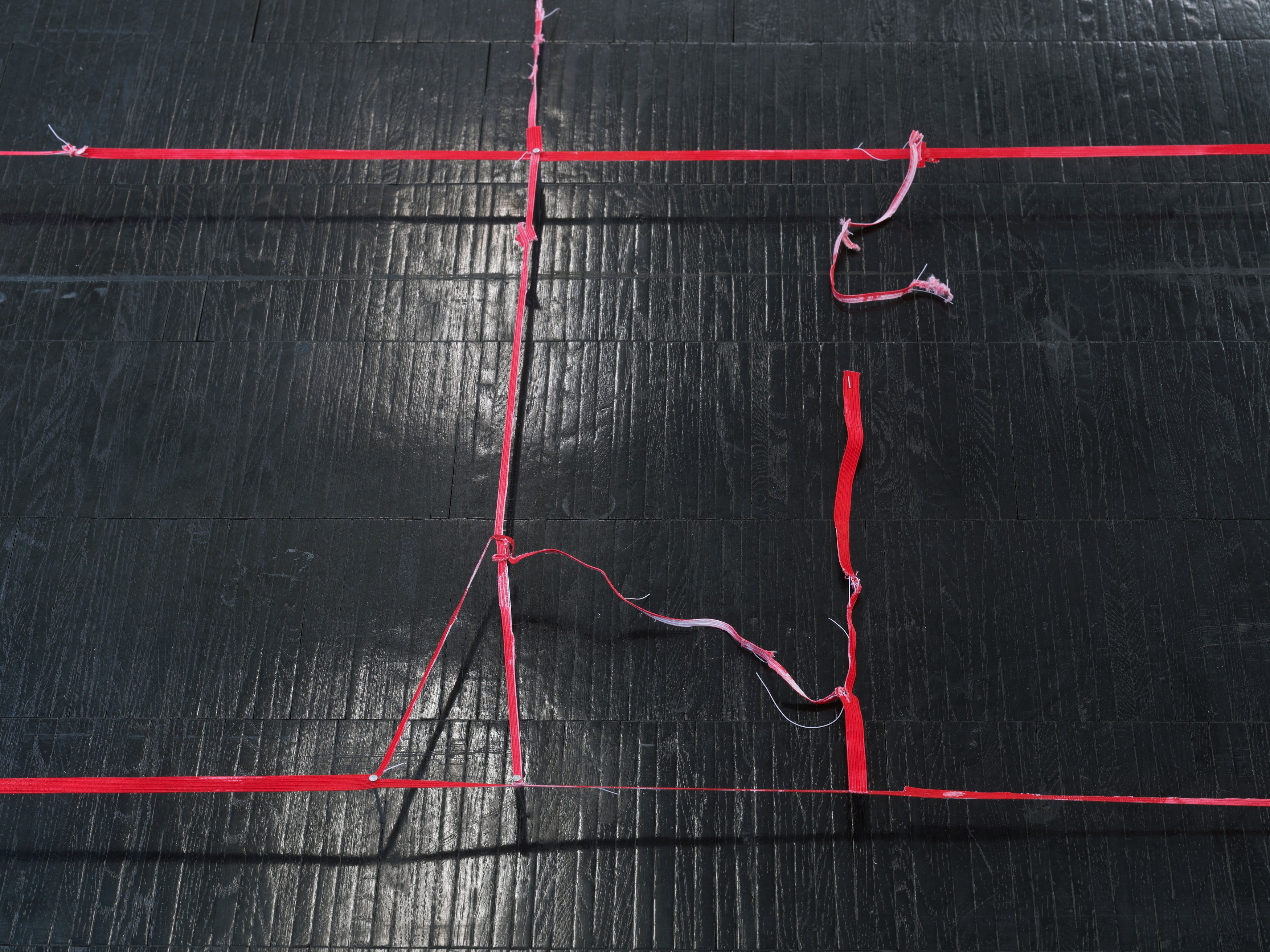 Olga Balema, Geta Brătescu, Untitled at Trautwein Herleth, photo 40