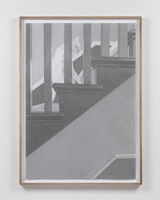 Image 16 of 16