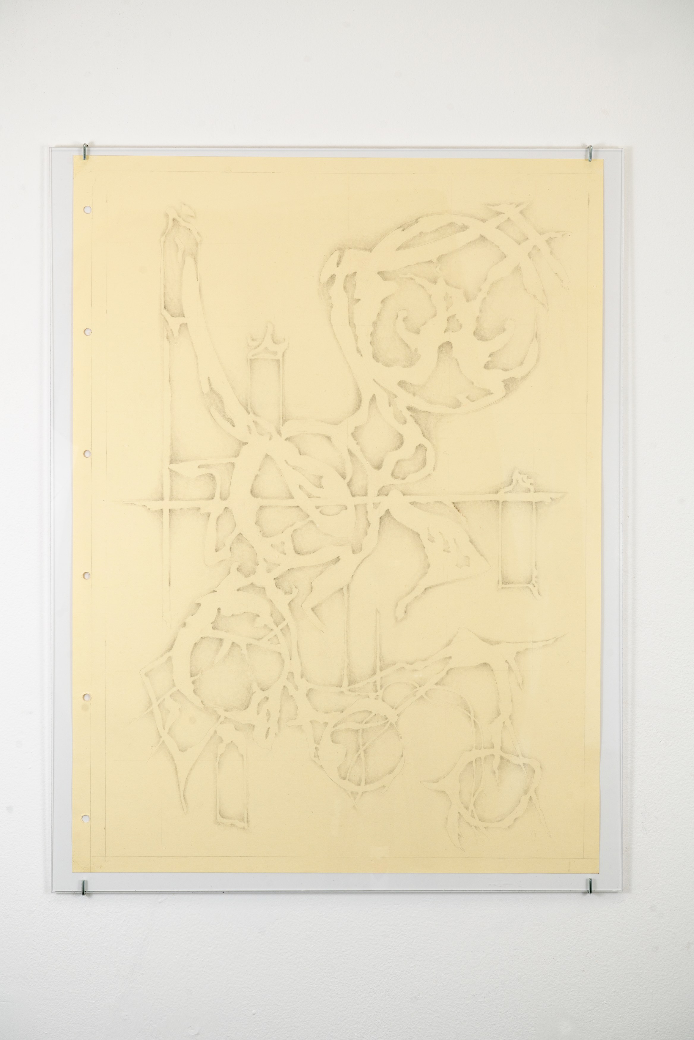 Installation view 8