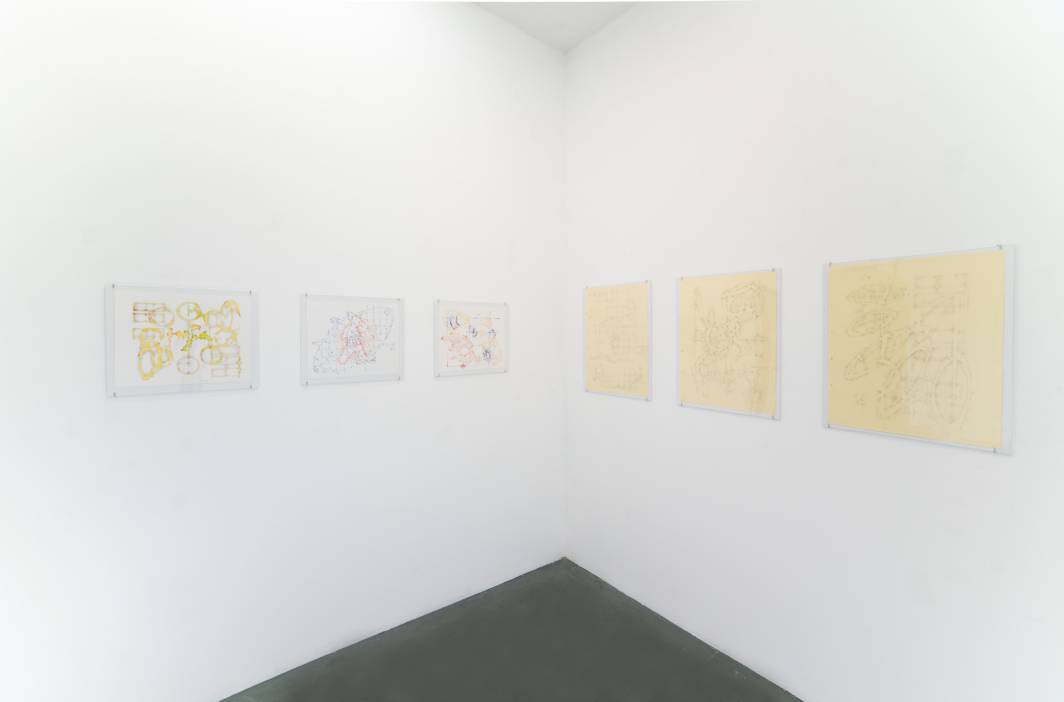 Installation view 5
