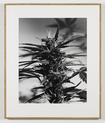 Image 15 of 16