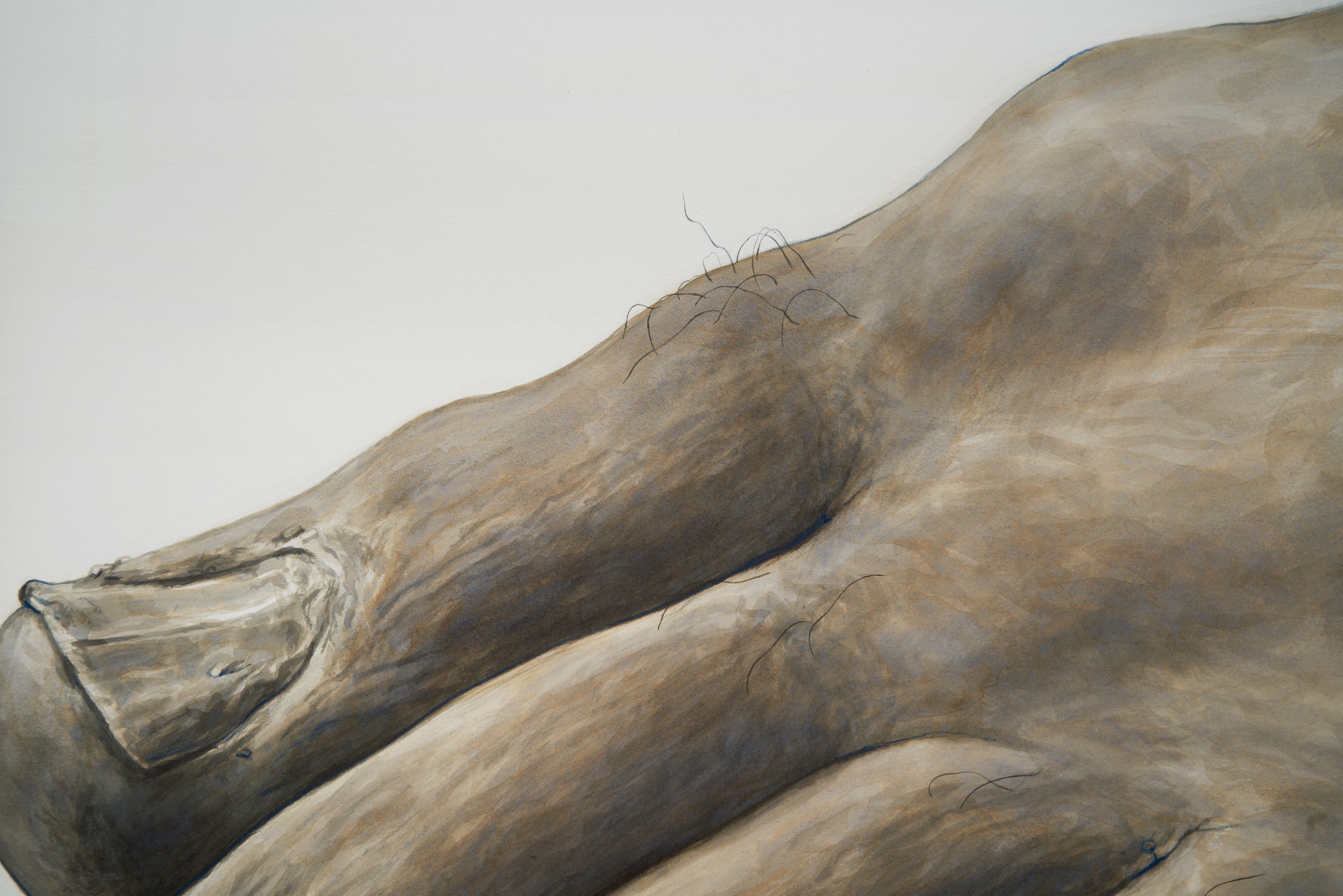 Ed Atkins, Ed Atkins at Isabella Bortolozzi, photo 5