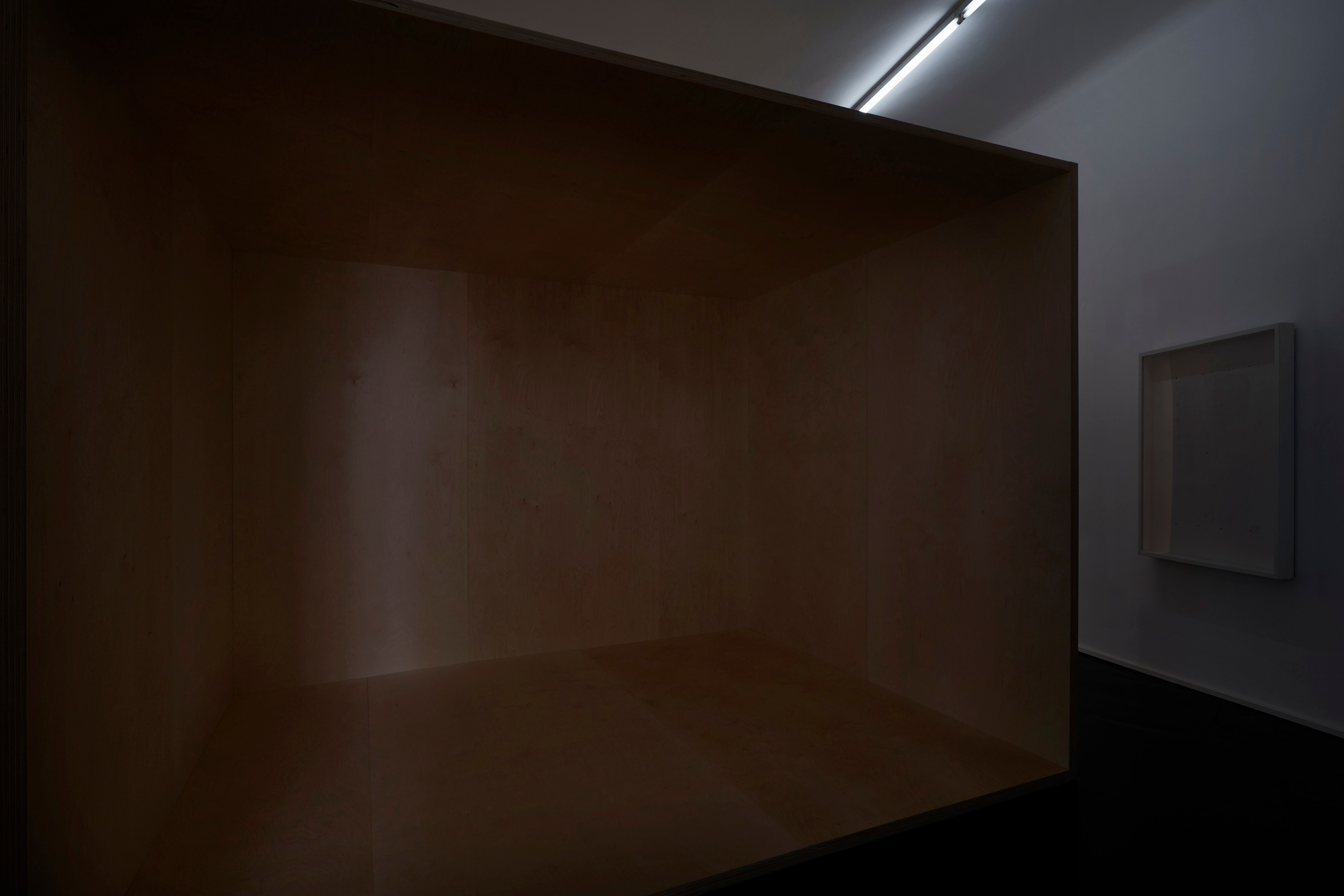 Ed Atkins, Ed Atkins at Isabella Bortolozzi, photo 16