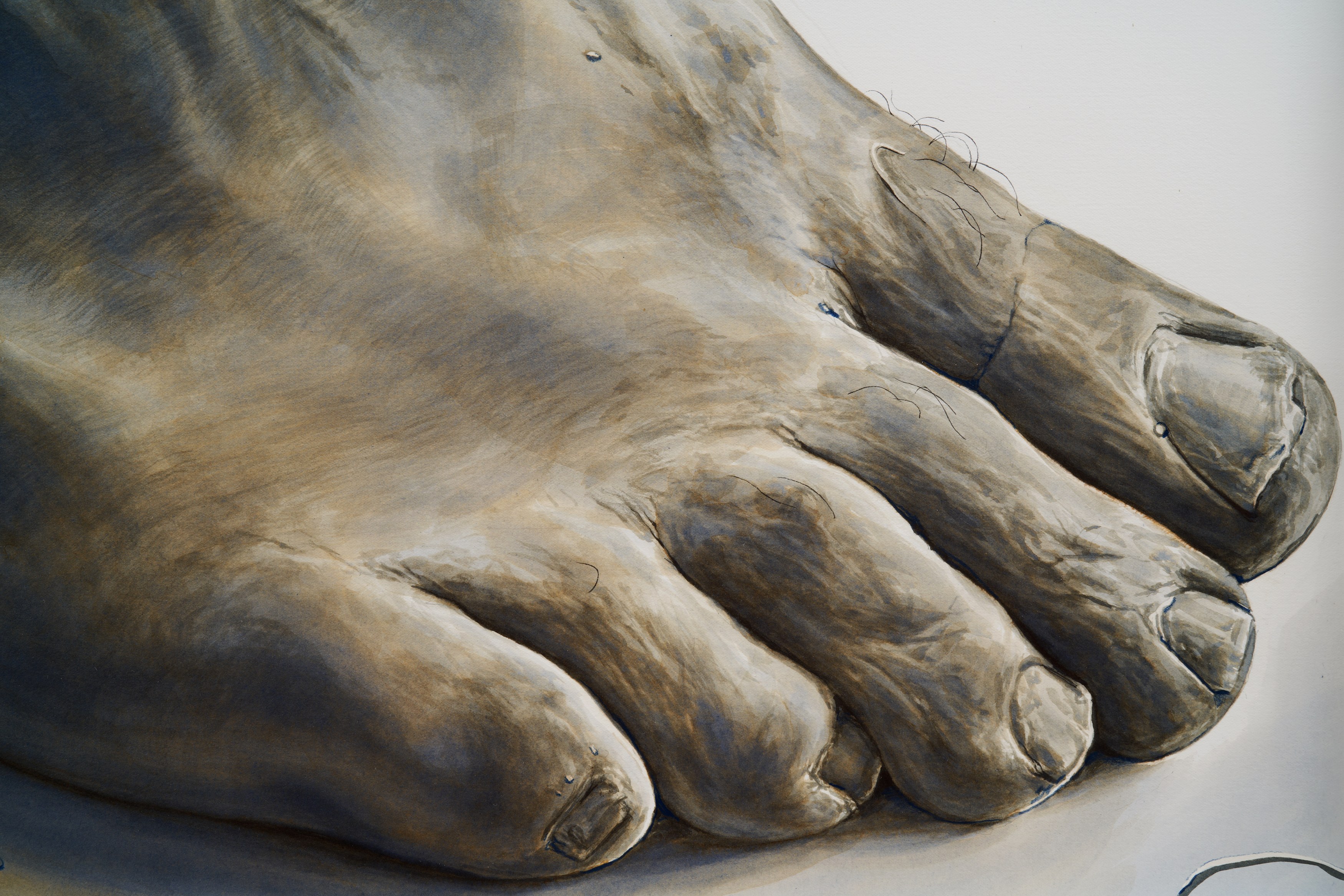 Ed Atkins, Ed Atkins at Isabella Bortolozzi, photo 14