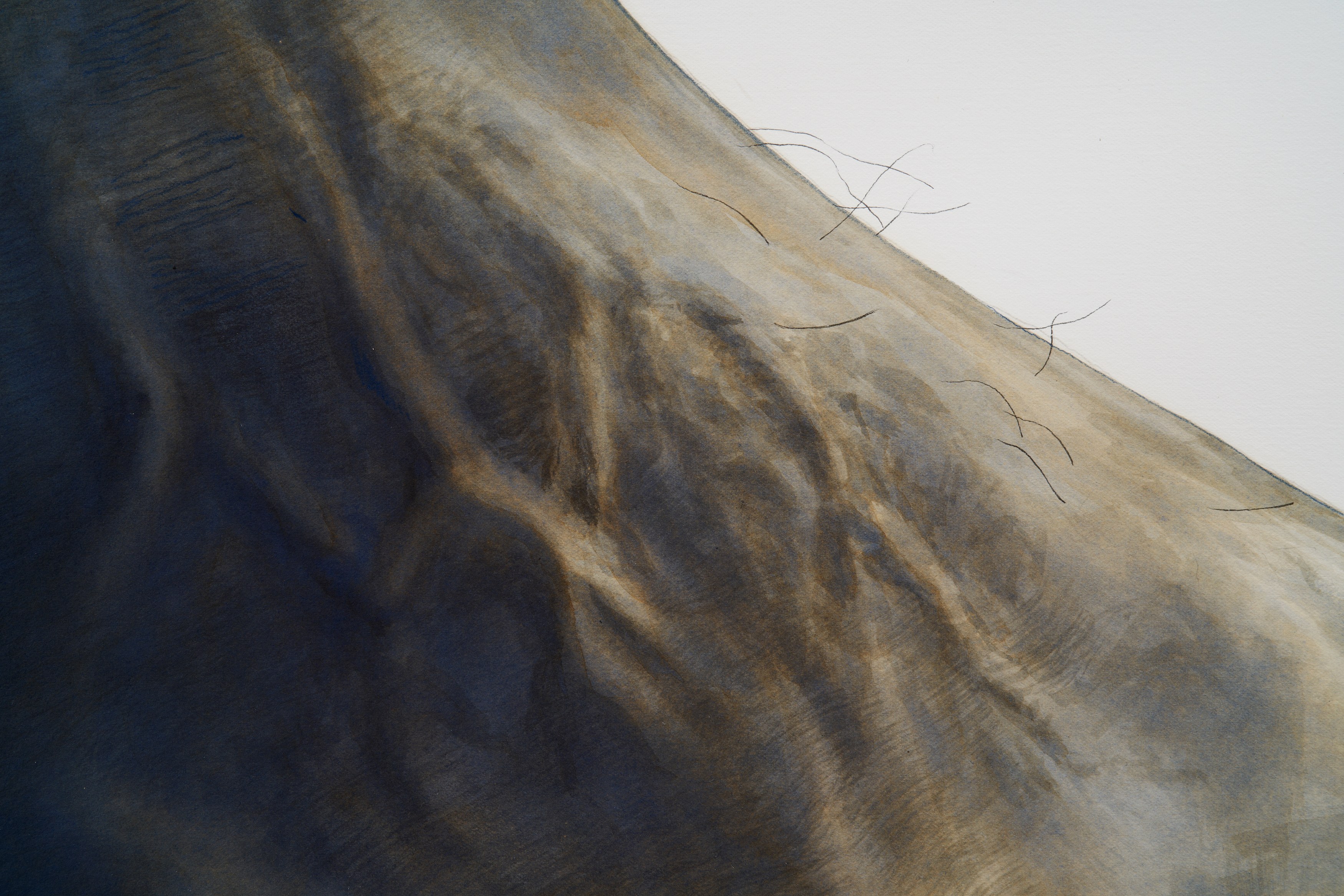 Ed Atkins, Ed Atkins at Isabella Bortolozzi, photo 13