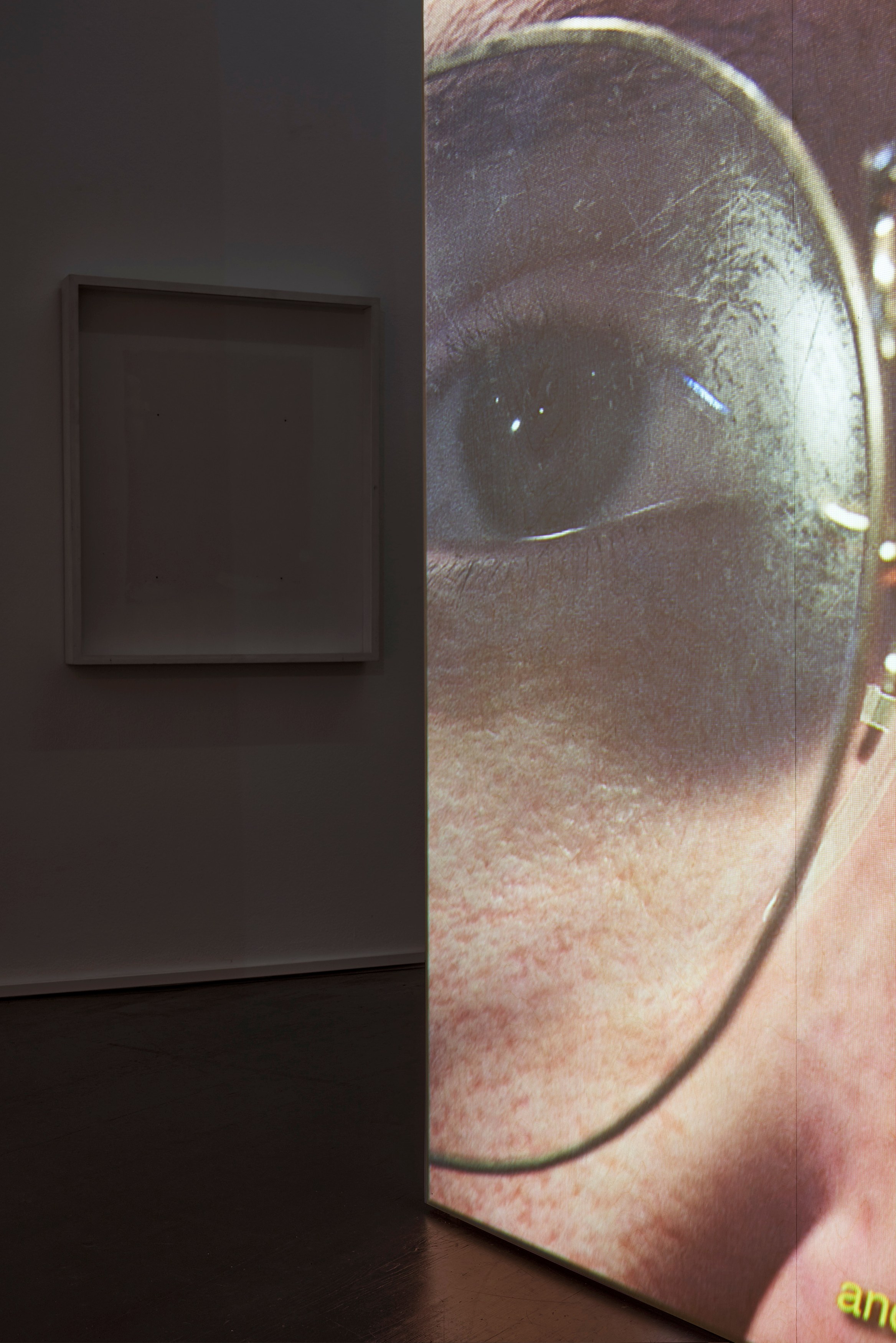Ed Atkins, Ed Atkins at Isabella Bortolozzi, photo 20