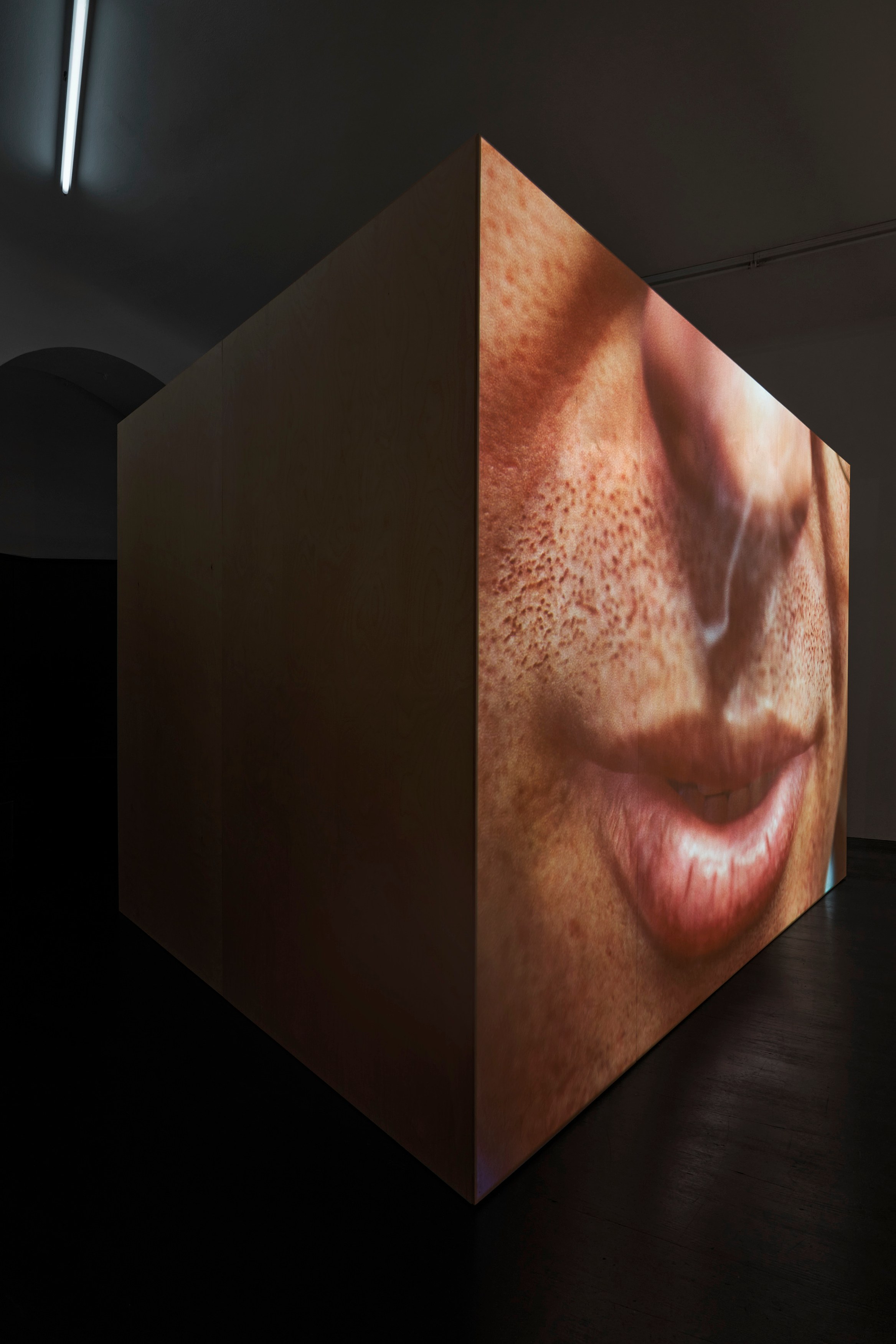 Ed Atkins, Ed Atkins at Isabella Bortolozzi, photo 29