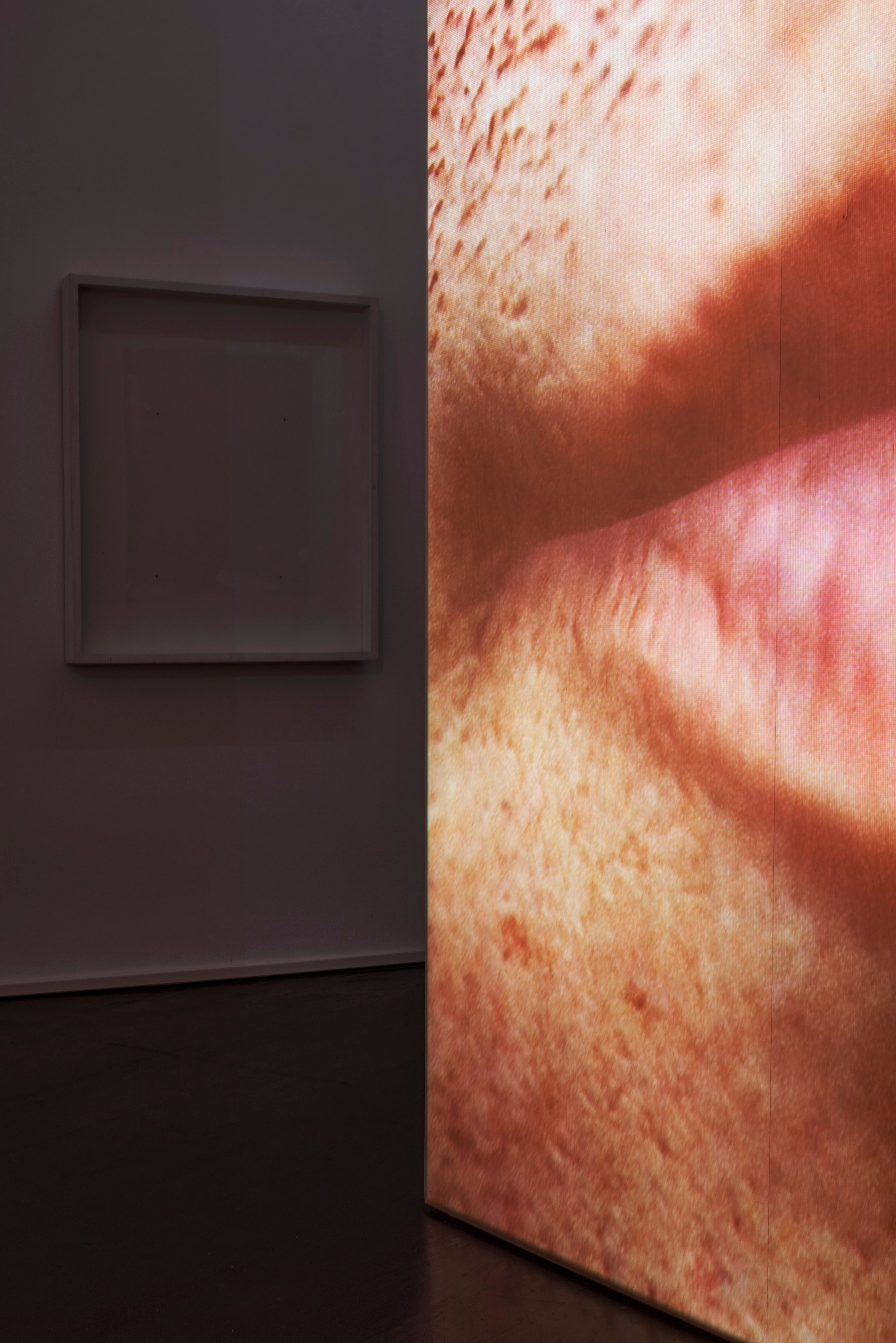 Ed Atkins, Ed Atkins at Isabella Bortolozzi, photo 28