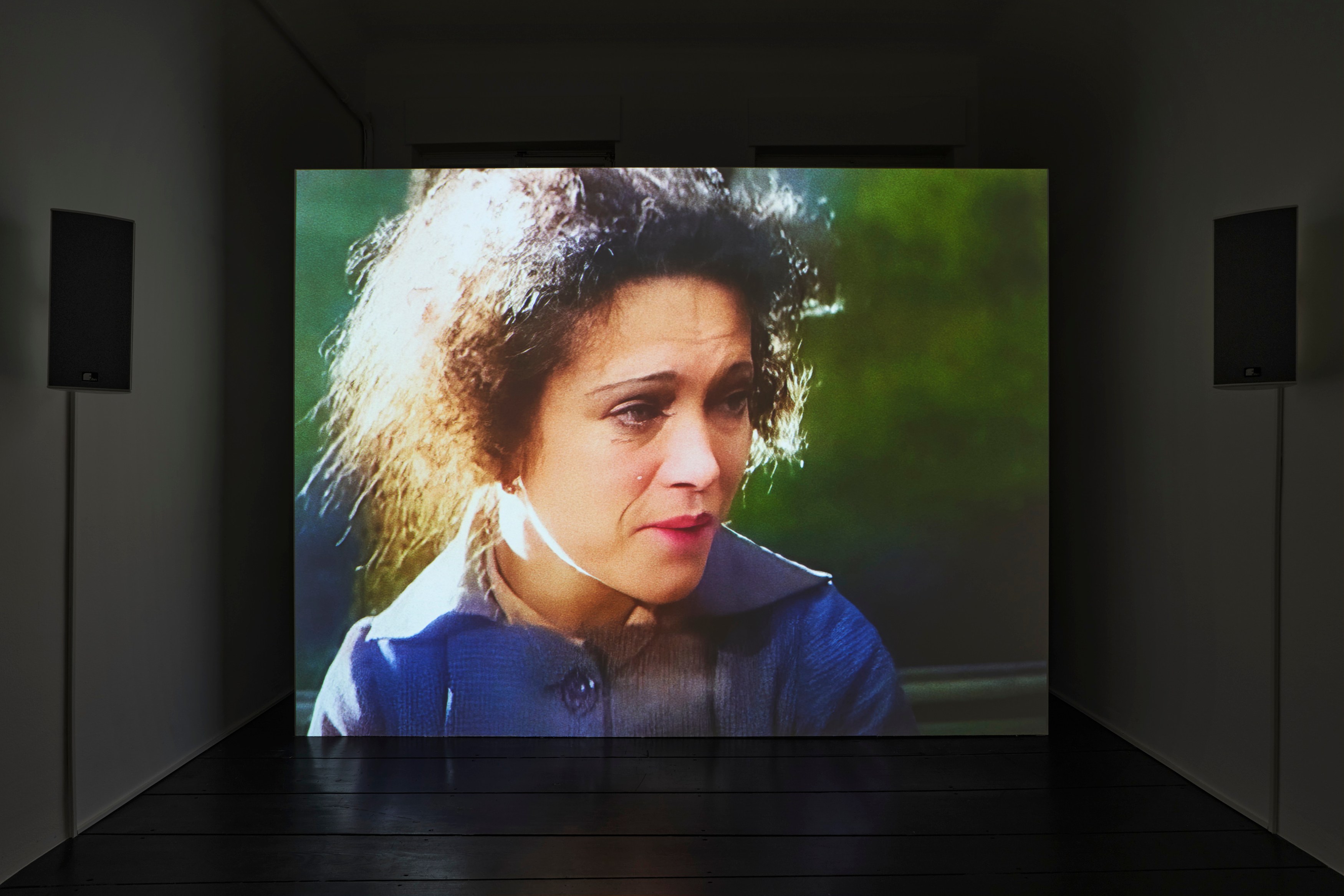 Ed Atkins, Ed Atkins at Isabella Bortolozzi, photo 33