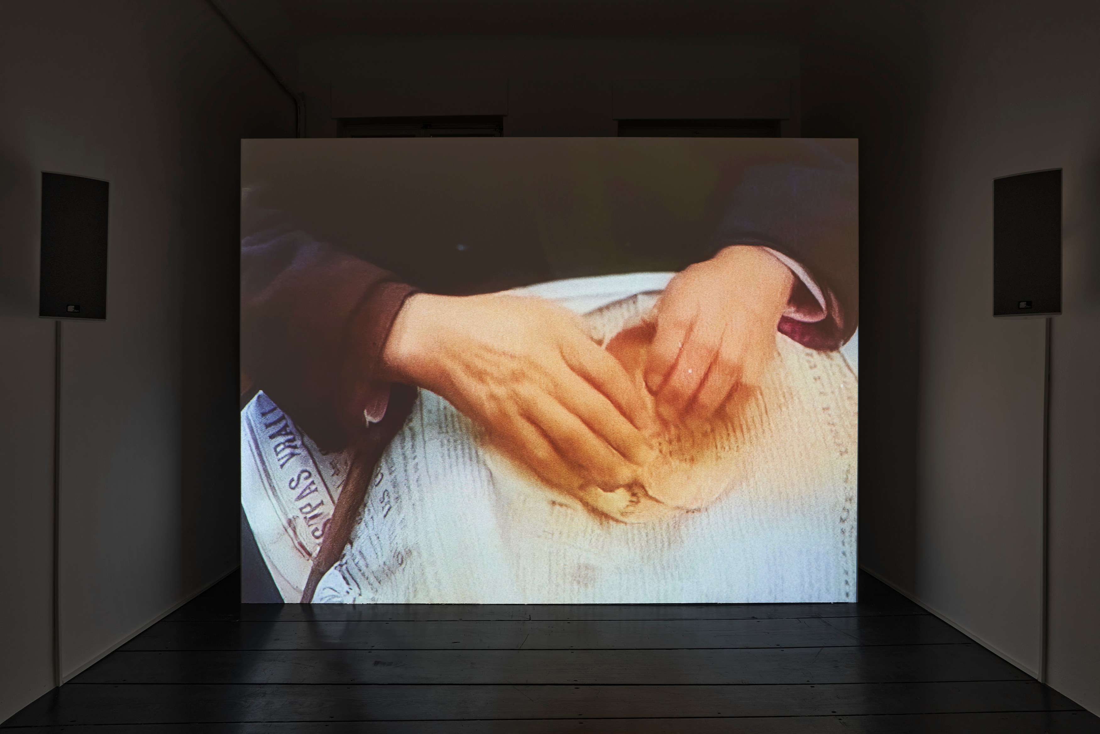 Ed Atkins, Ed Atkins at Isabella Bortolozzi, photo 31
