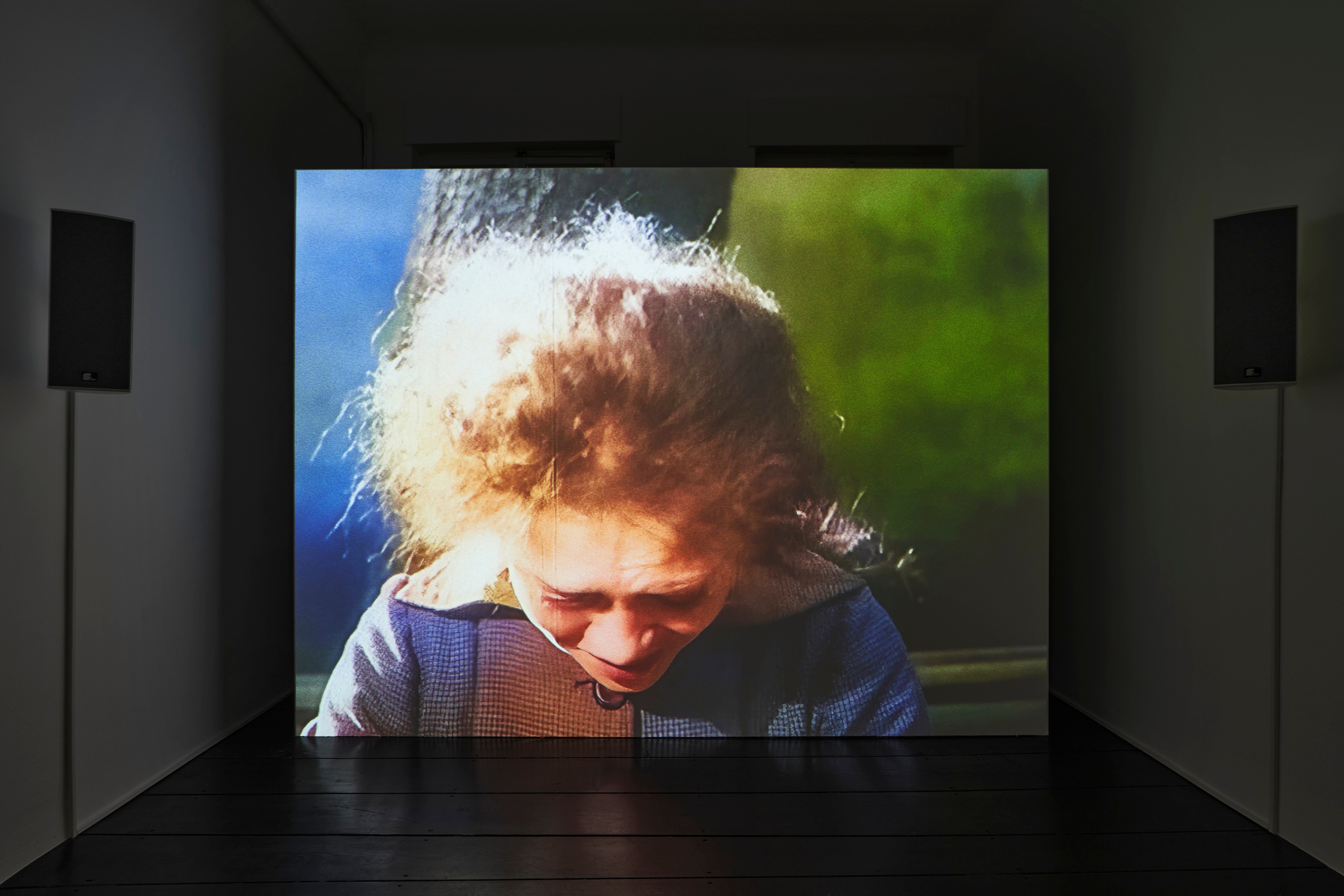 Ed Atkins, Ed Atkins at Isabella Bortolozzi, photo 34