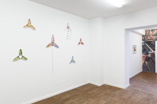 Image 10 of 31