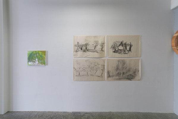 Image 9 of 29