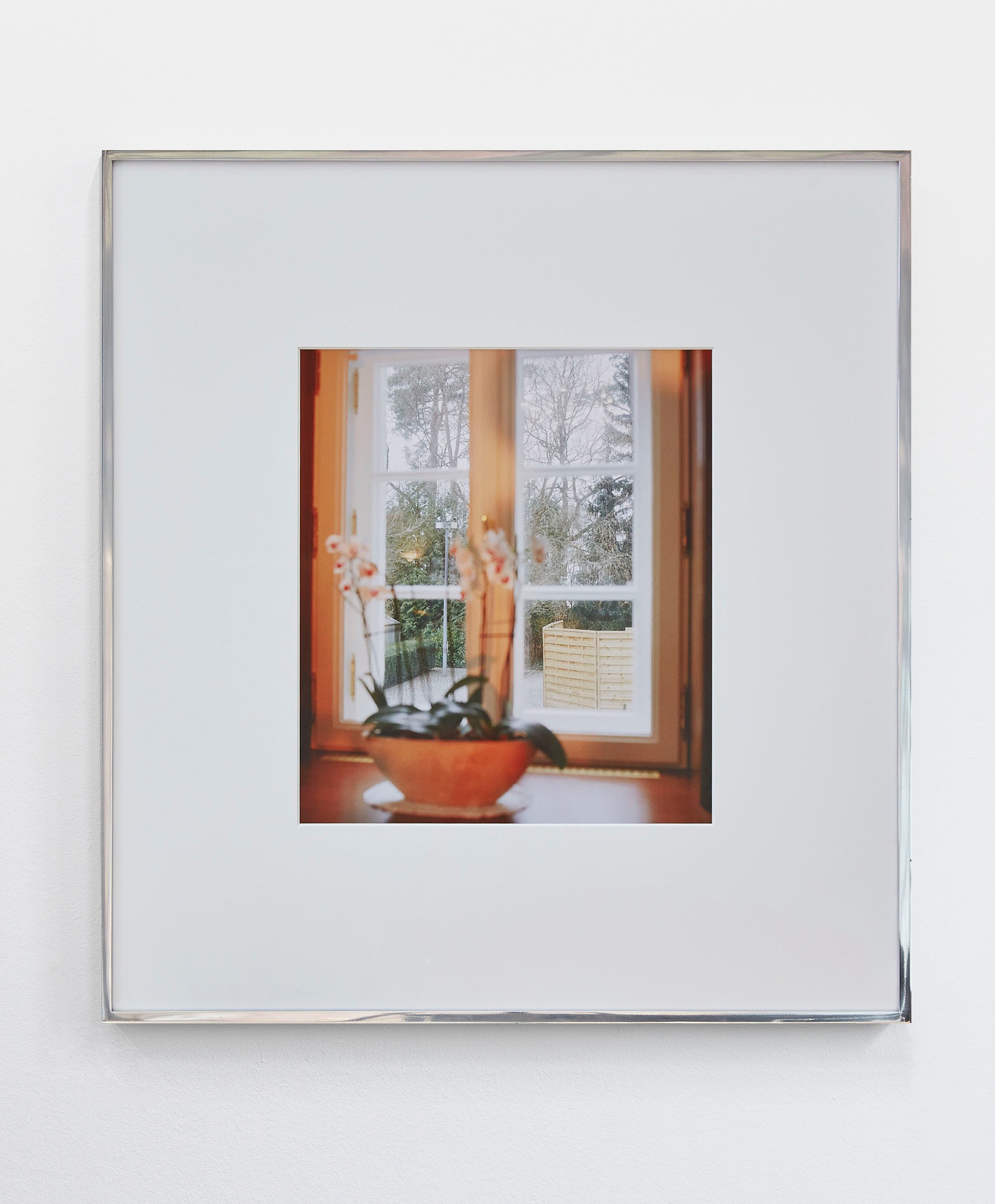 The American Friend, The American Friend at Tara Downs, photo 21