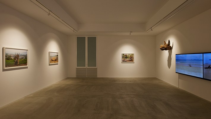 Image 6 of 13