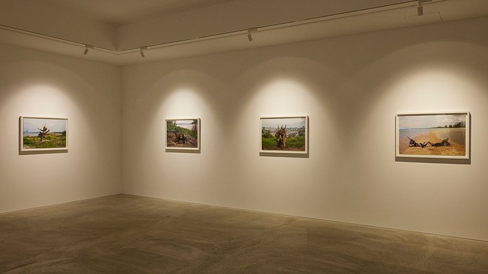 Image 8 of 13