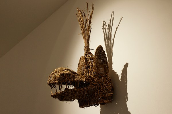 Image 11 of 13