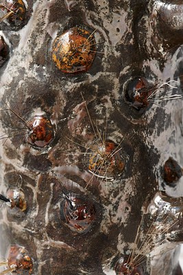 Image 24 of 40