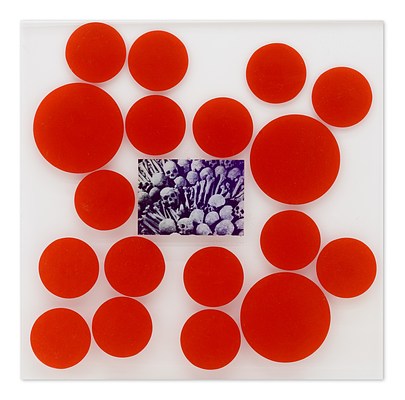 Image 21 of 30