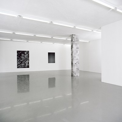 Image 1 of 9
