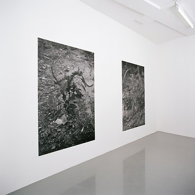 Image 2 of 9