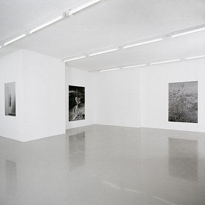 Image 5 of 9
