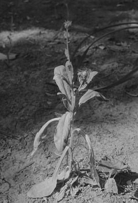 Image 8 of 9
